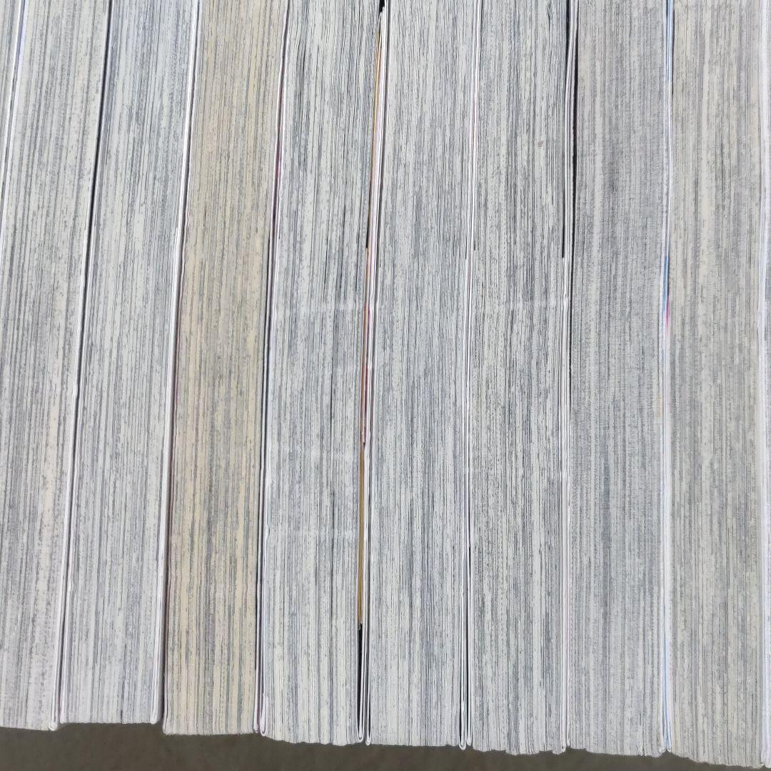 純情ロマンチカ 世界一初恋 全巻セット 特装版あり + 関連本 6冊