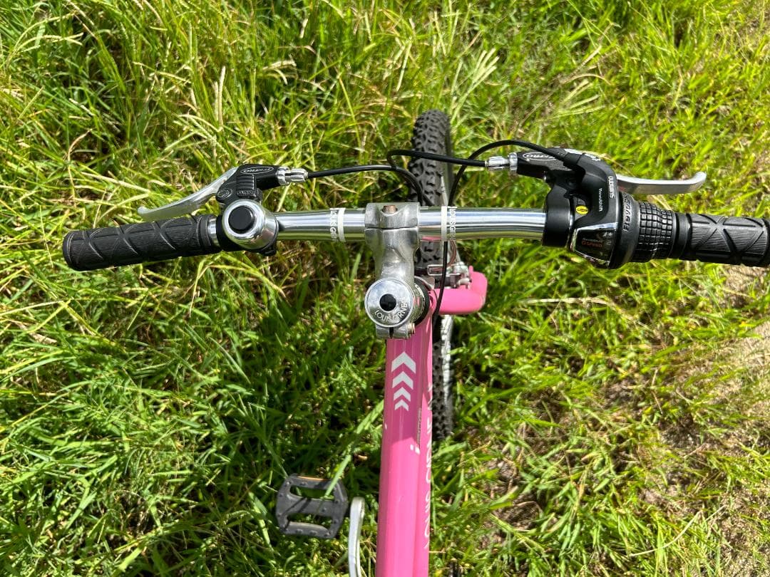 ルイガノ LGS－Ｊ２０６ 6段変速ギヤ 色：ピンク