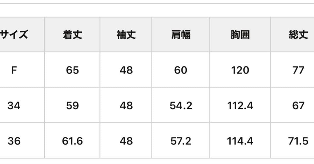 定番名品★ウィムガゼットWhim Gazette Vガゼットプルオーバー　白