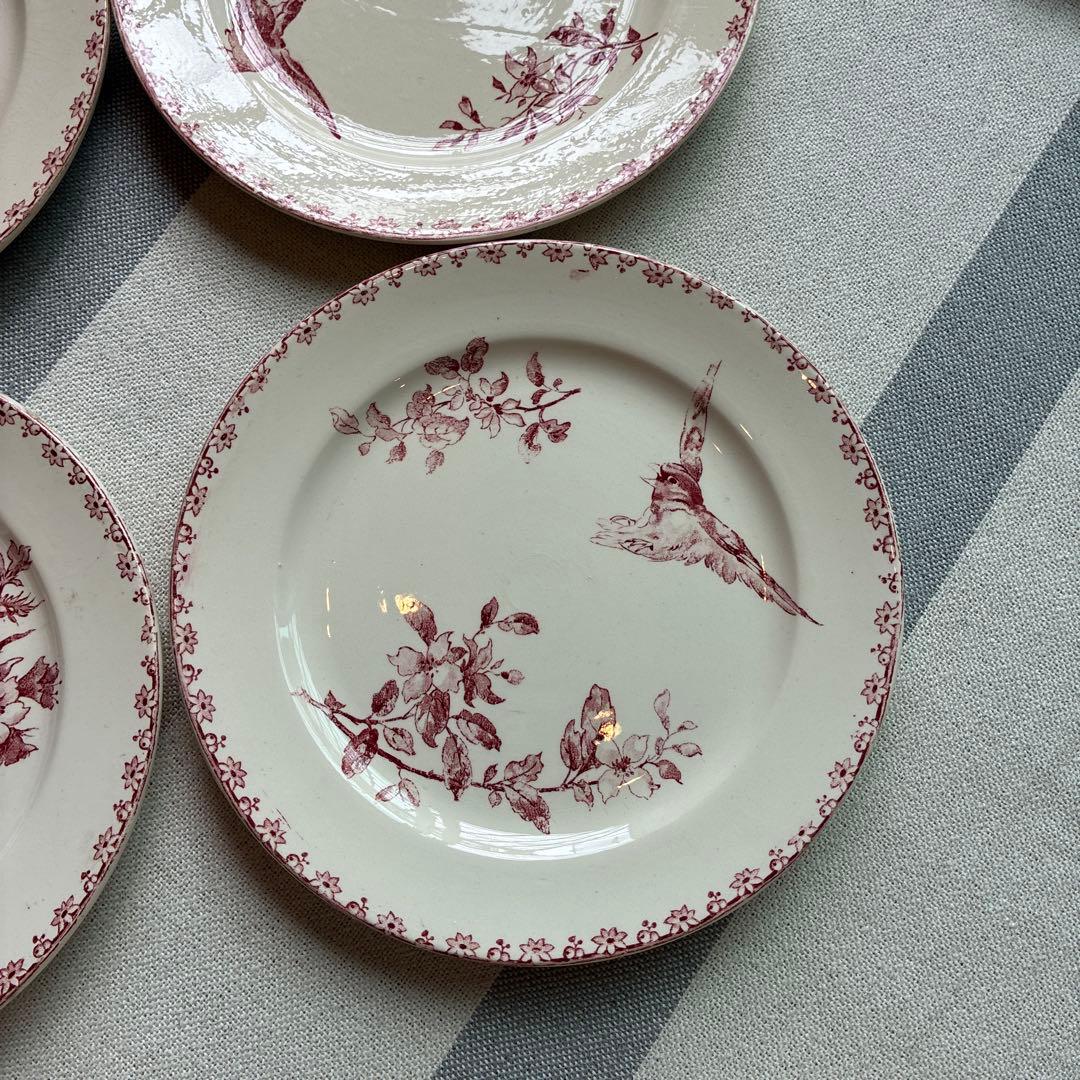 希少　サルグミンヌ ファボリ　ディナープレート フランスアンティーク食器