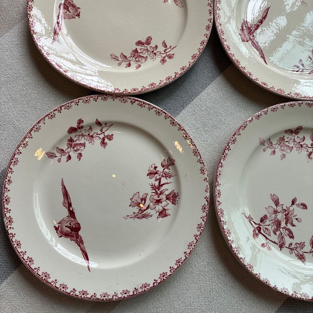 希少　サルグミンヌ ファボリ　ディナープレート フランスアンティーク食器