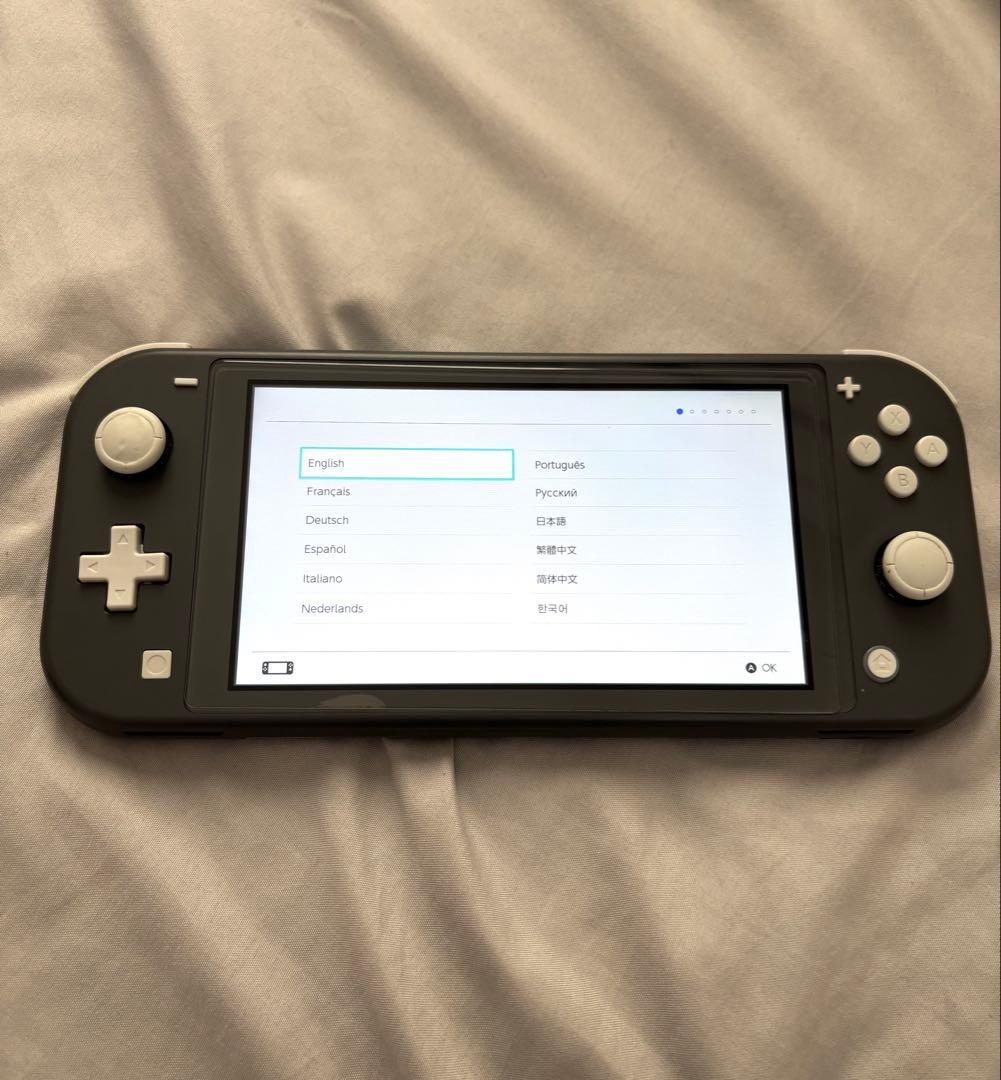 Switchライト ジャンク品