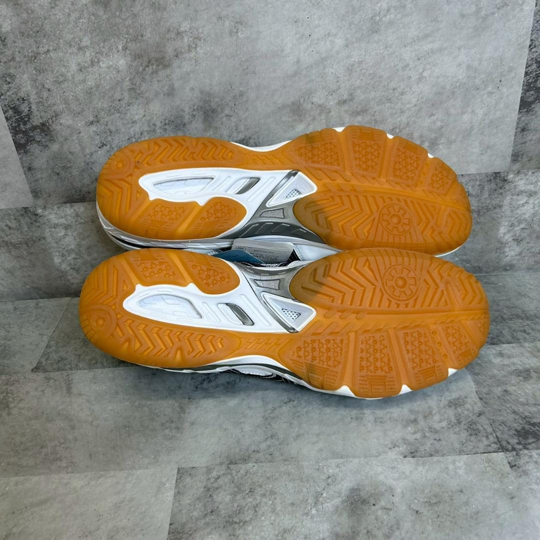 29.5cm 美品 asics　アシックス　バレーボールシューズ　 RG412