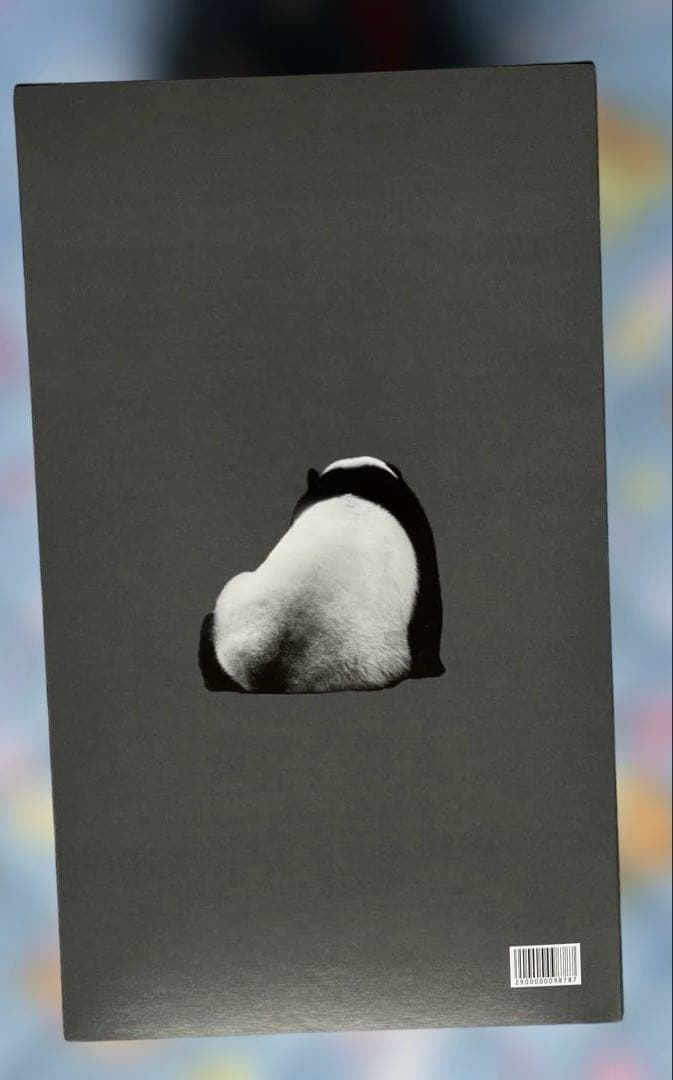 箱入りシャンシャン