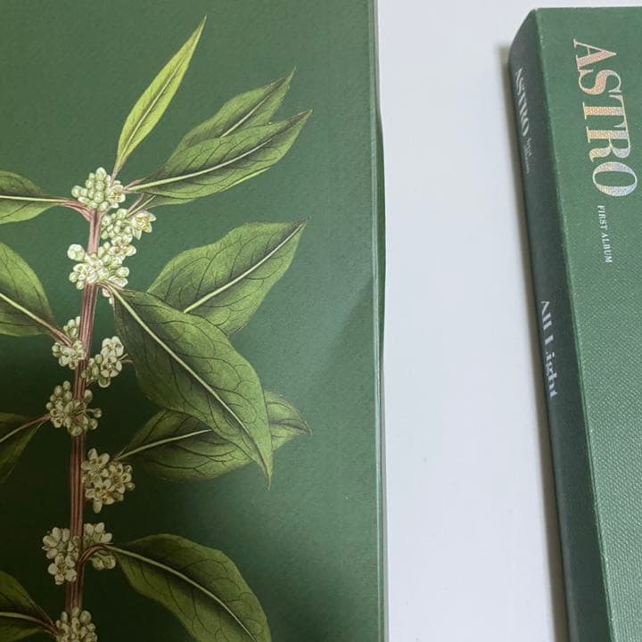 ASTRO チャウヌ　ウヌ サイン All Light