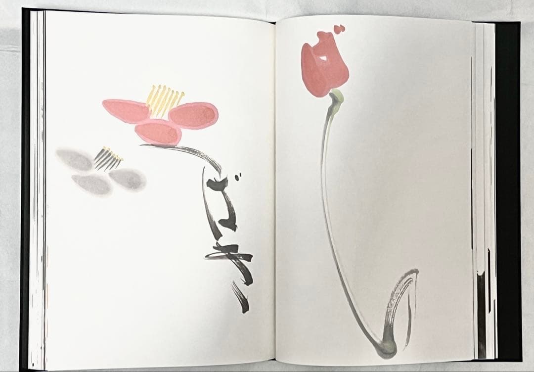 【2000冊限定】長野オリ書道家 増永広春氏作品集 走墨 1999年 超美品