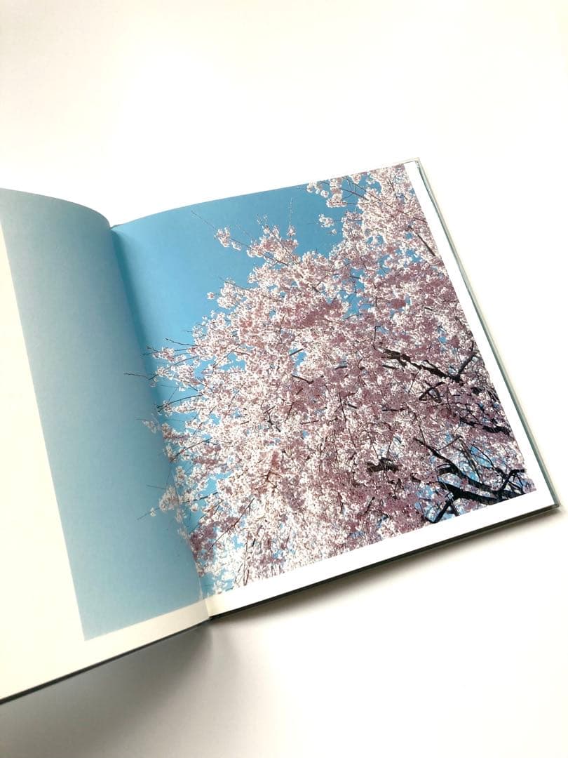 鈴木理策　写真集「HYSTERIC EIGHT 」 吉野山　桜　風景　青空　花