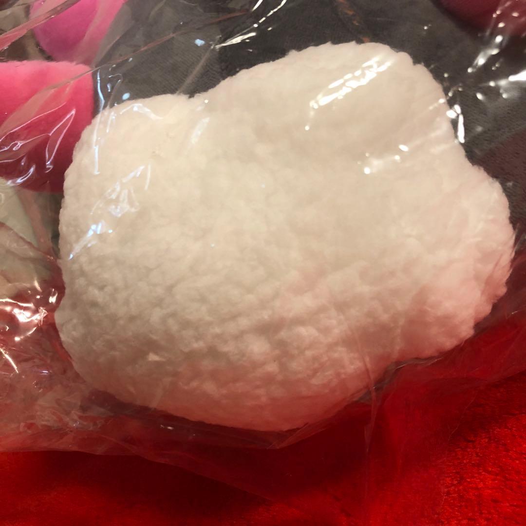 新品　ポケモン　ナマコブシ　もちふわクッション　ぬいぐるみ