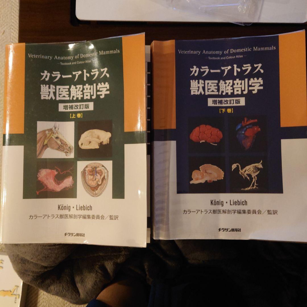 獣医解剖学 : カラーアトラス 上巻　下巻
