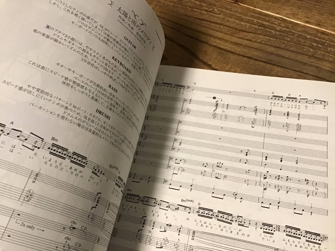 ★未使用新古品/楽譜/サニーデイサービス/MUGEN/タブ譜/バンドスコア