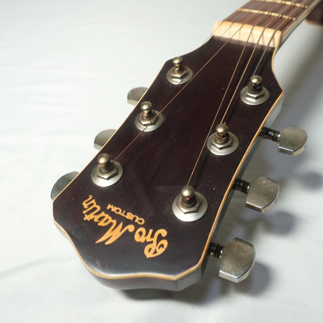 Pro Martin EAW-350 WRS エレアコ ギター ケース付