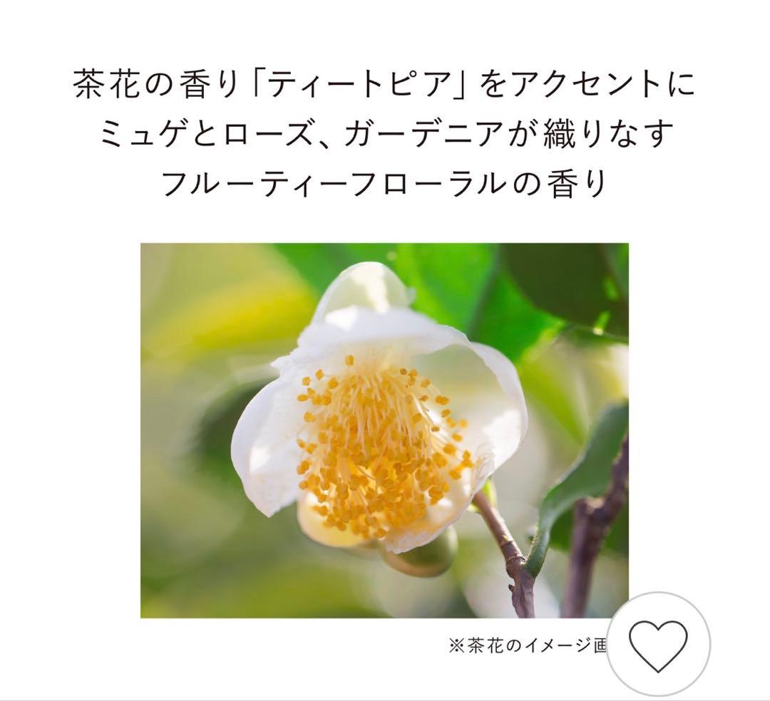 コンフォートスキンウェア2本&ルージュ4色&ロゴ入りミラー