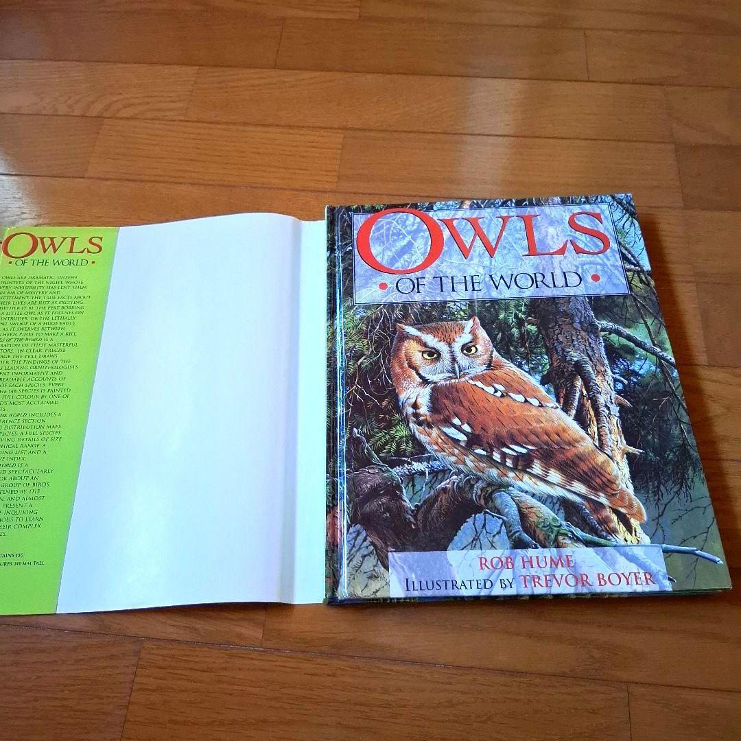 Owls of the World - Rob Hume世界のフクロウ図鑑　洋書