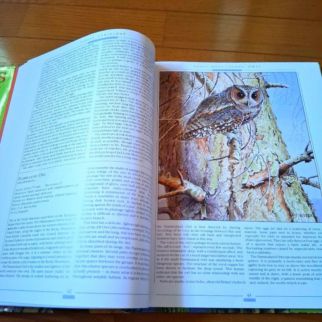 Owls of the World - Rob Hume世界のフクロウ図鑑　洋書