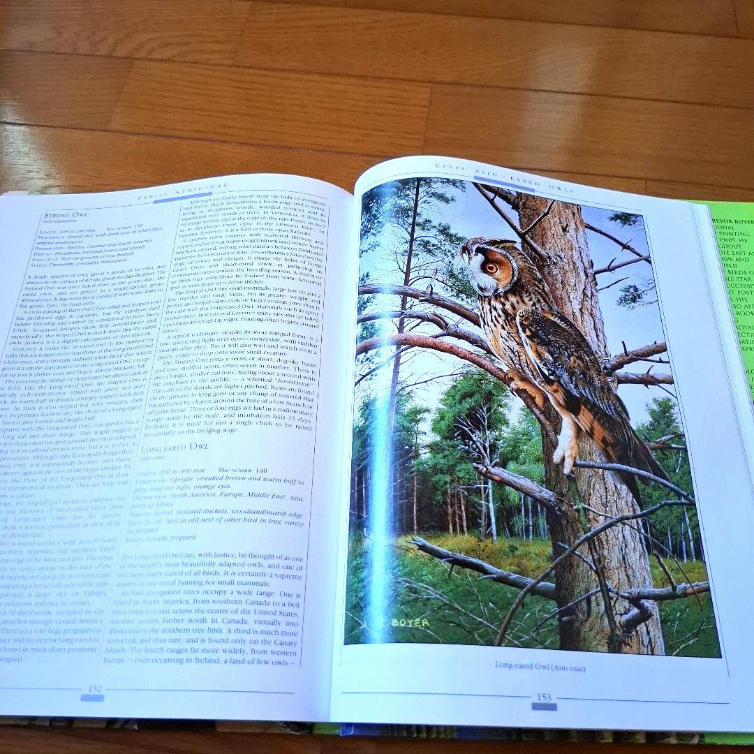 Owls of the World - Rob Hume世界のフクロウ図鑑　洋書