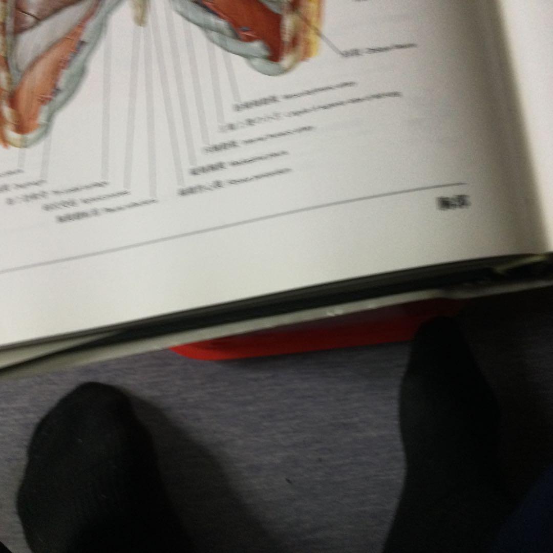 ネッター解剖学図譜プロが、使用(古書)基本的かわらず。