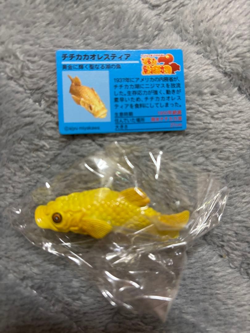 戦え絶滅動物PART3 宮川アジュ　モア　スミロドン　サーベルタイガー　ライオン