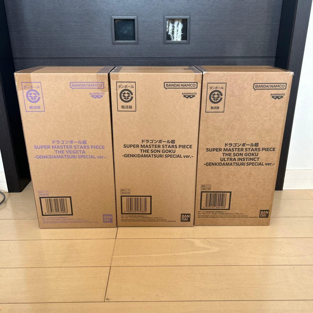 ゲンキダマツリ　SMSP 3種