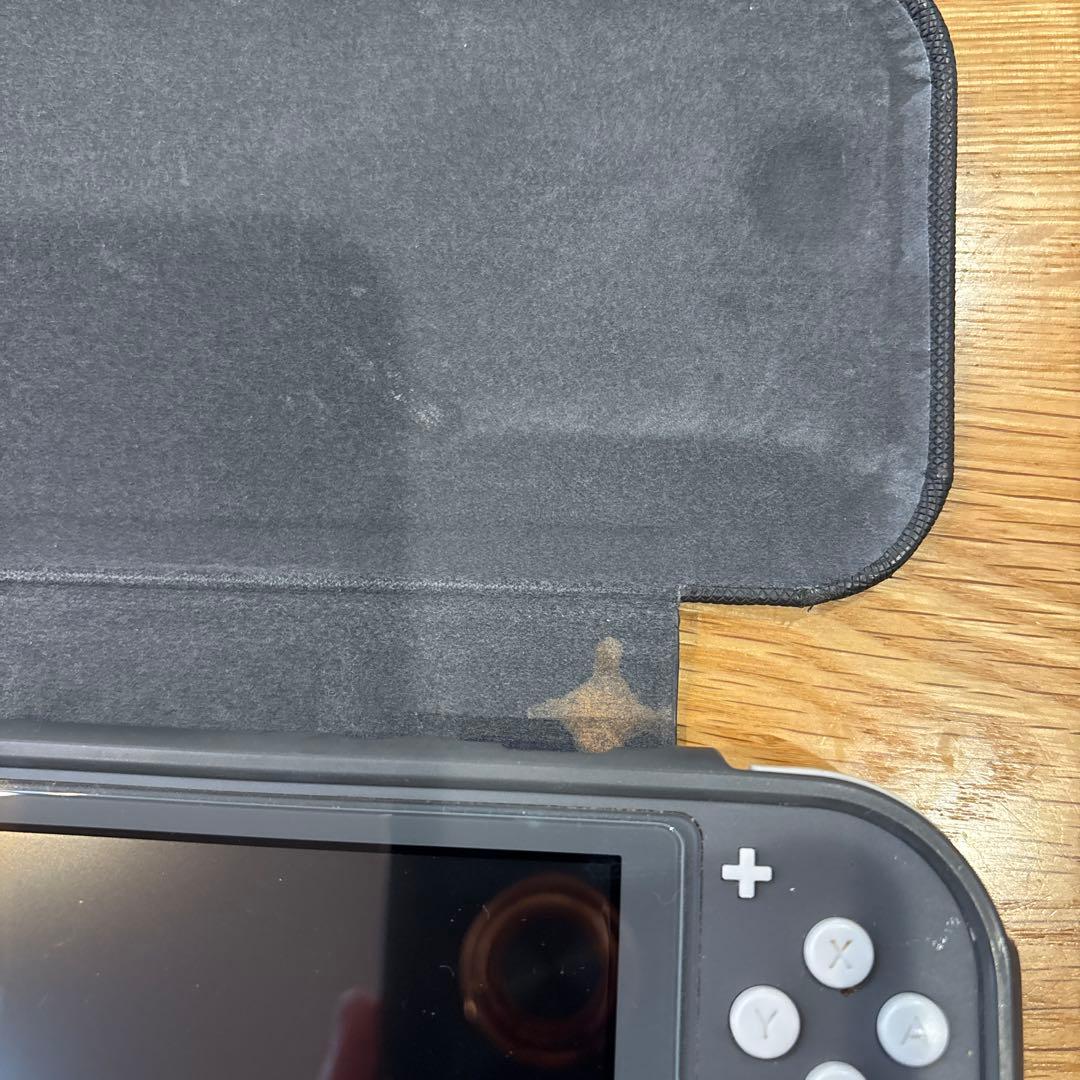 ジャンク品　Switchライト