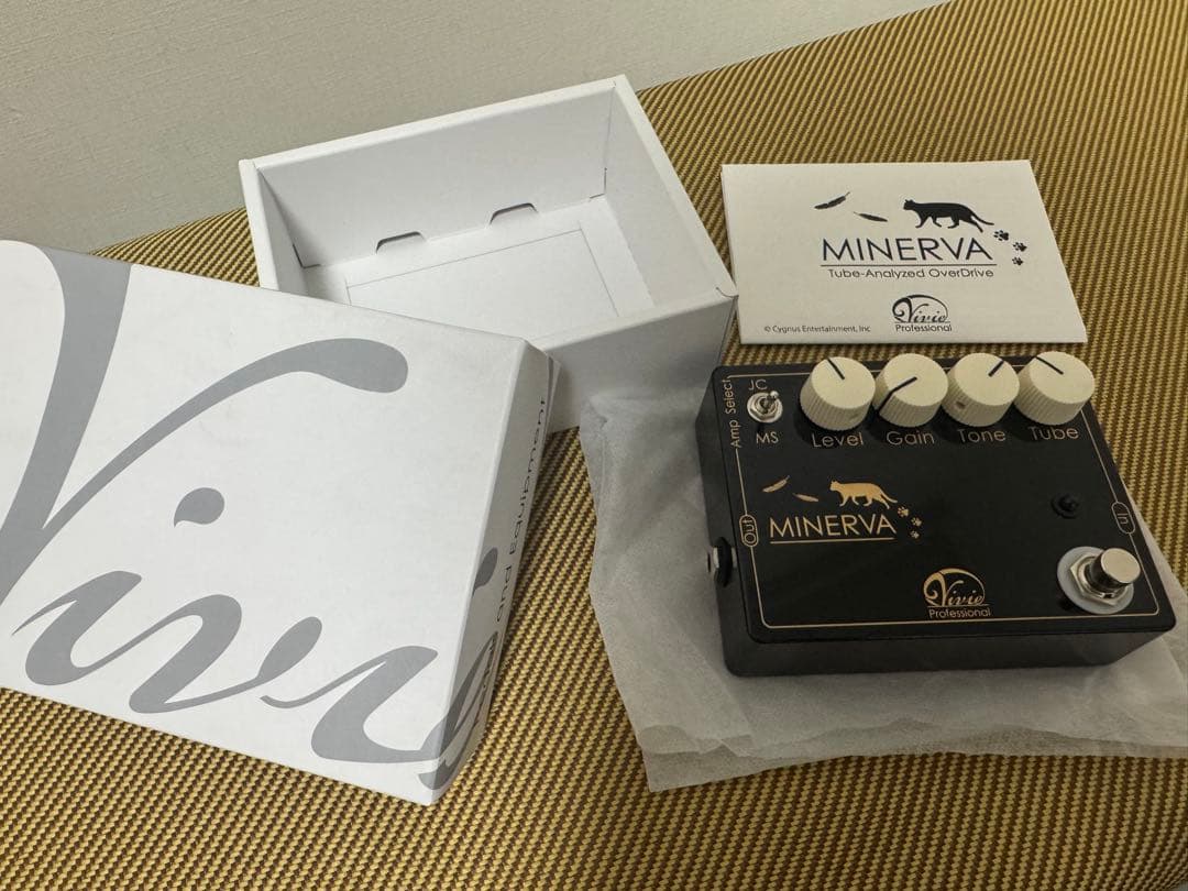 ギター vivie minerva