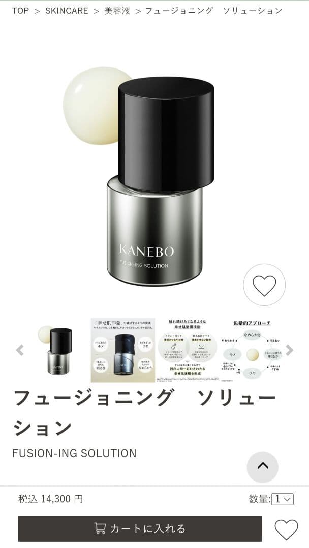 FUSION-ING SOLUTION フュージョニング ソリューション