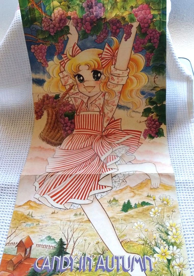 不朽の名作キャンディキャンディ 全巻1-9巻/全巻黒文字版/ポスター2枚おまけ