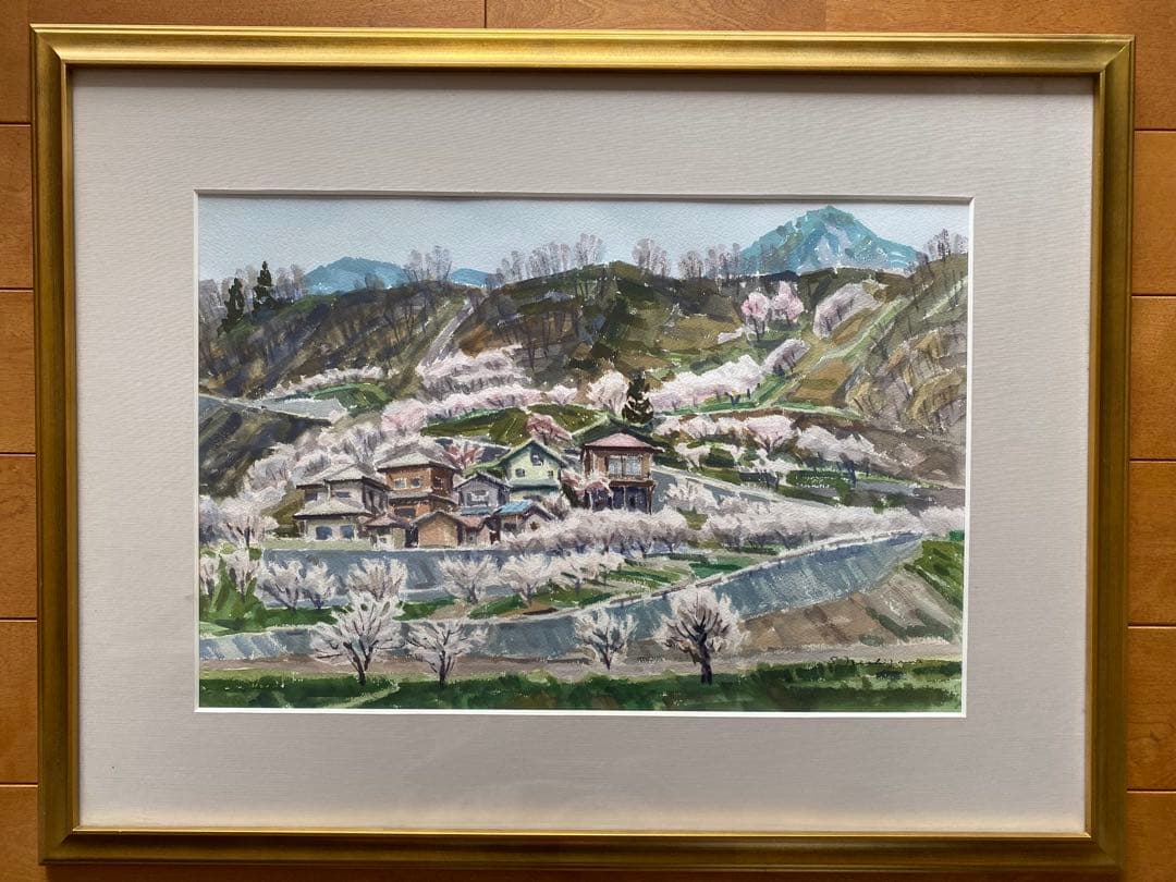 西澤　昭二　水彩画「あんず花 咲く」