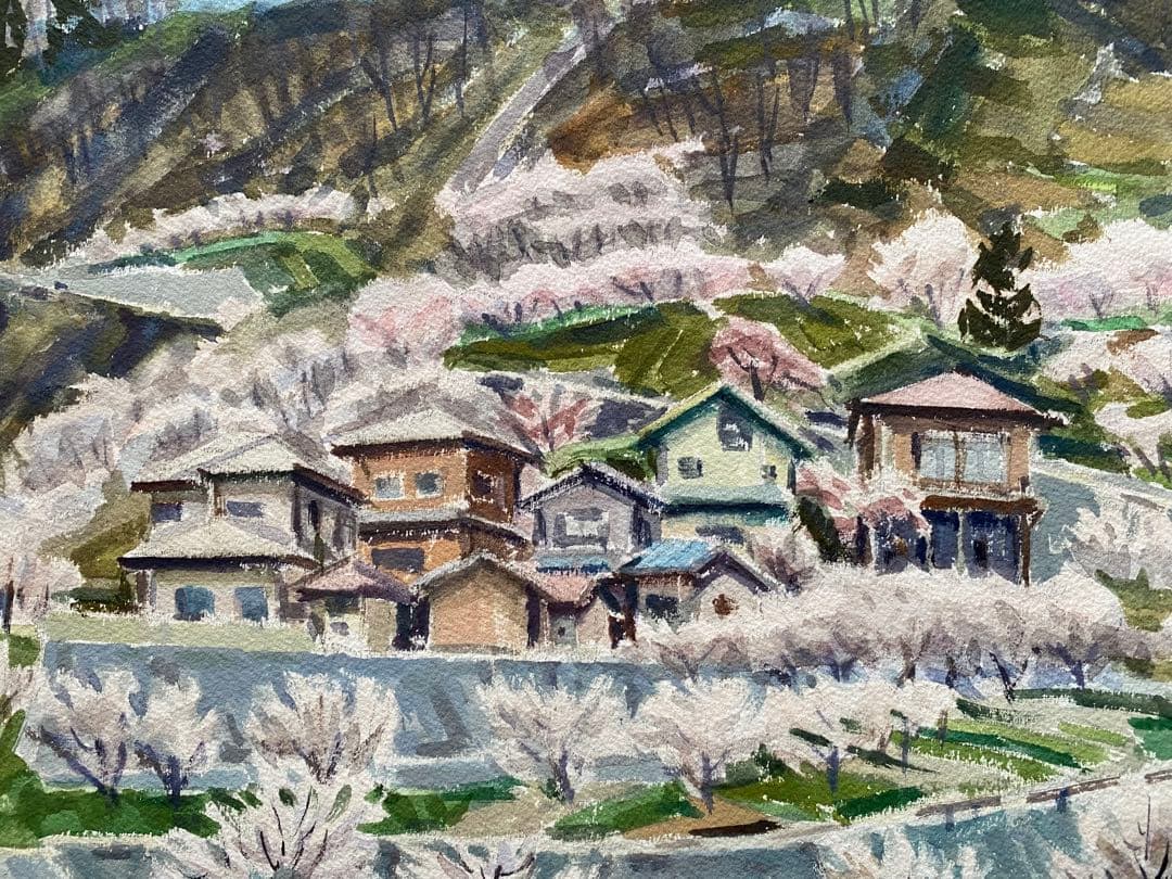 西澤　昭二　水彩画「あんず花 咲く」