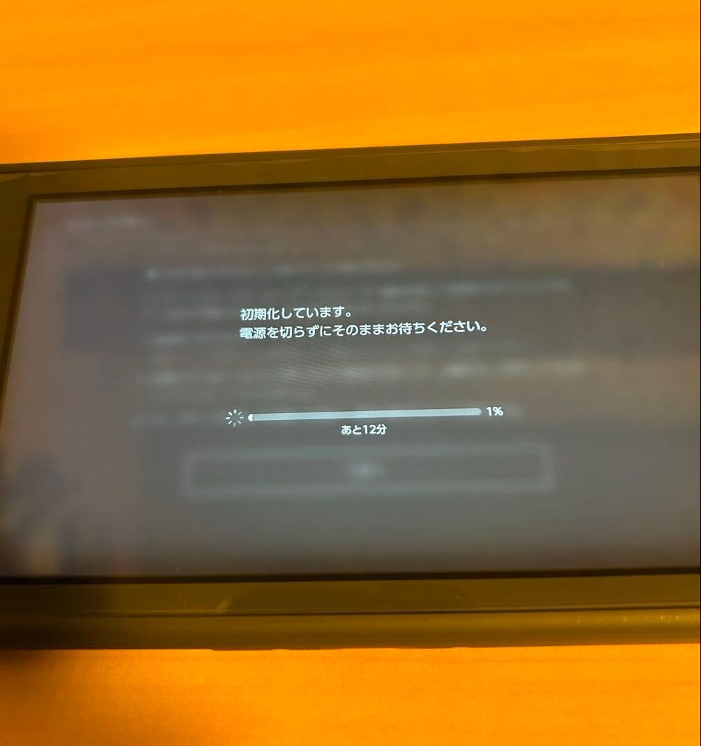 【美品】Nintendo Switch Lite グレー　本体 ライト