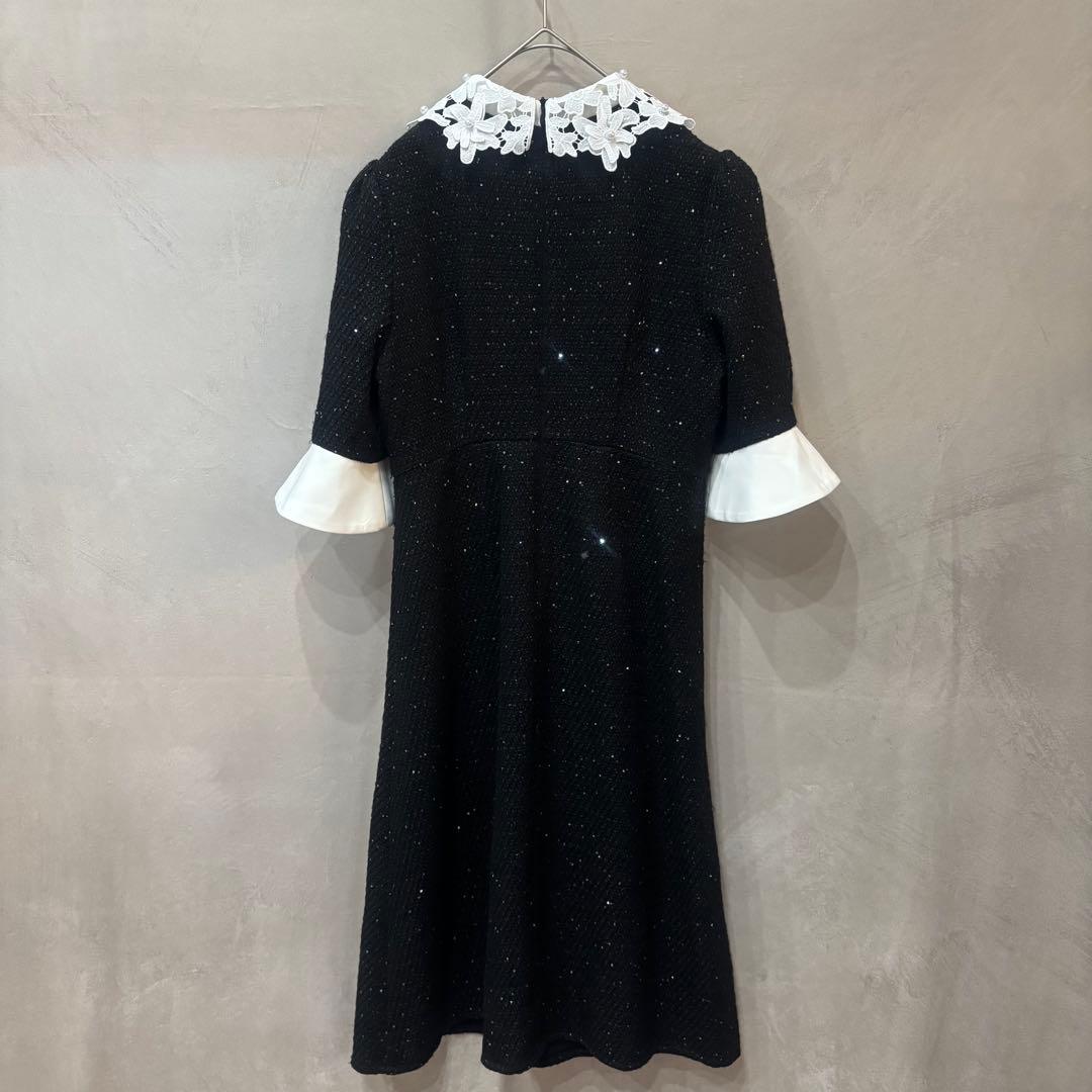 Leja レジャ 花柄レースカラースパンコールAラインワンピース ブラック S