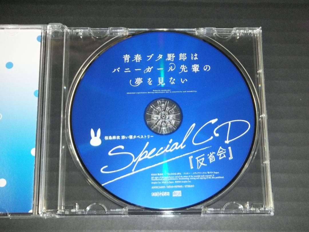 09●桜島麻衣 Special CD 「反省会」　YT0223-1