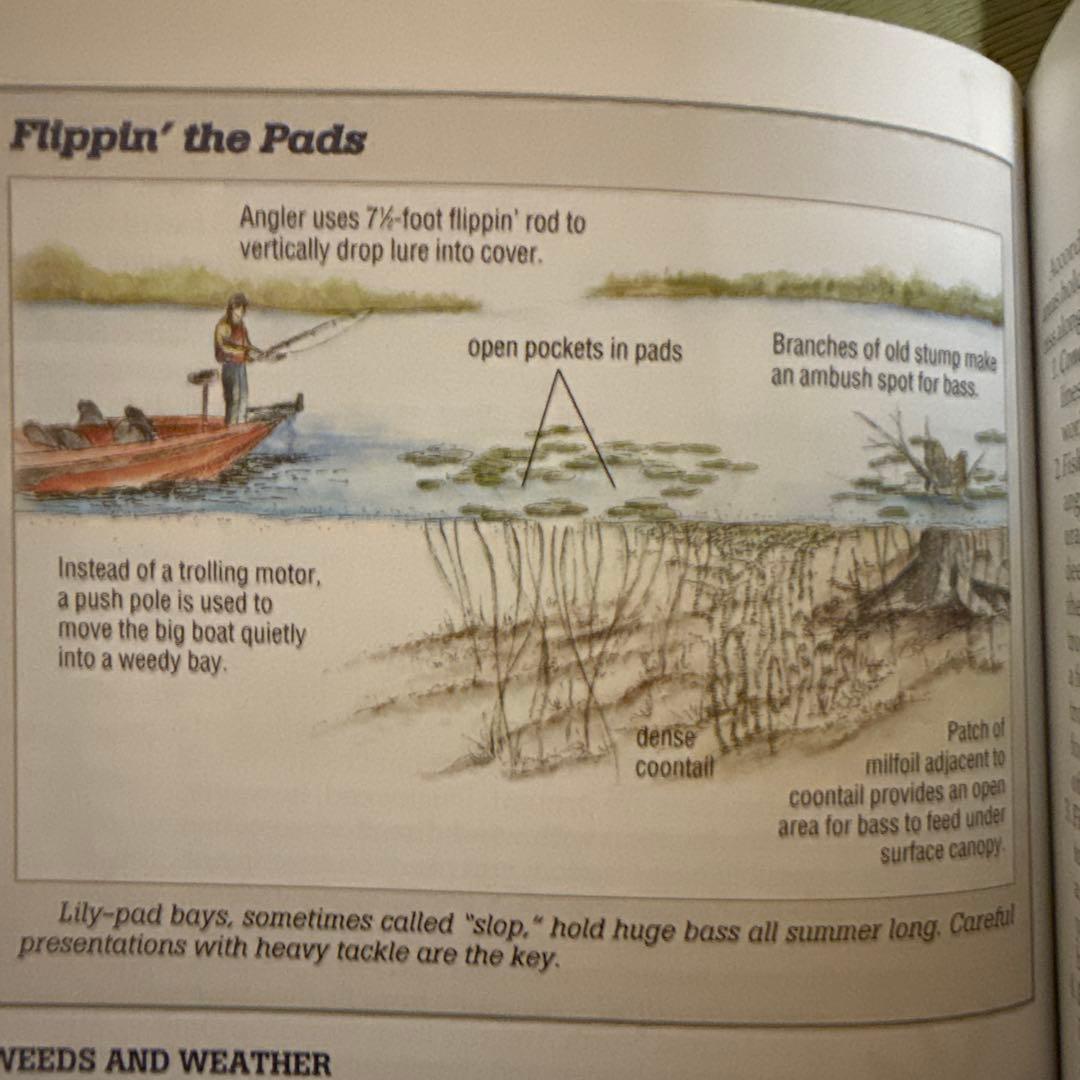 In-Fisherman バス釣り理論書 Location 英語版