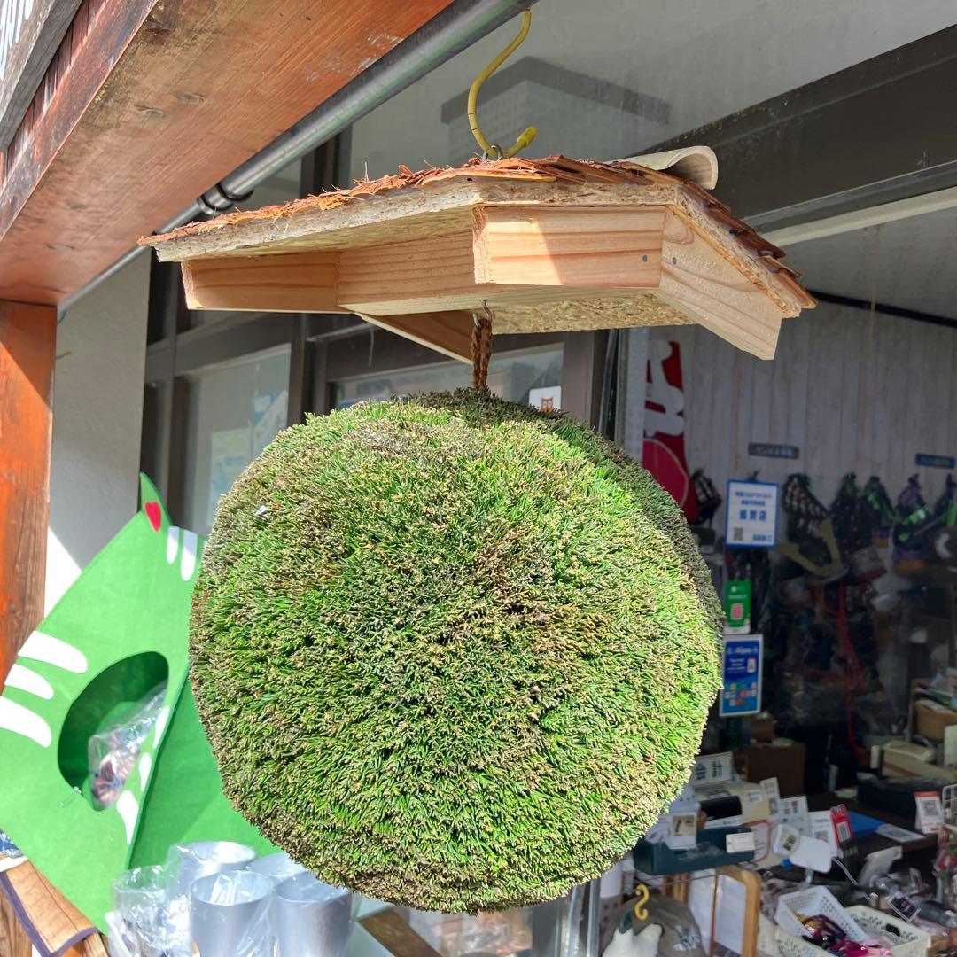 杉玉【屋根付き】②