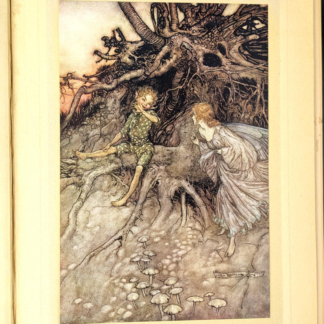 希少な初版 アーサー・ラッカム挿画『真夏の夜の夢』1908年 イラスト40枚総揃