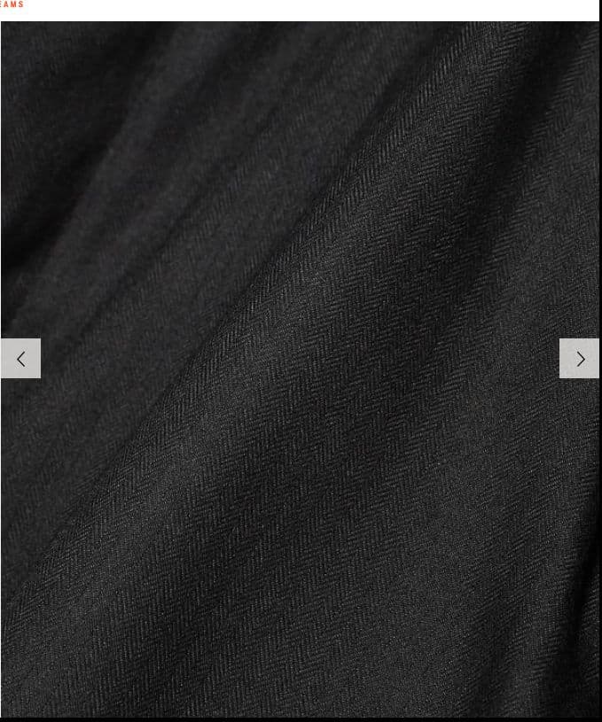 HERNO Laminar ヘリンボーン ダウンコート 48