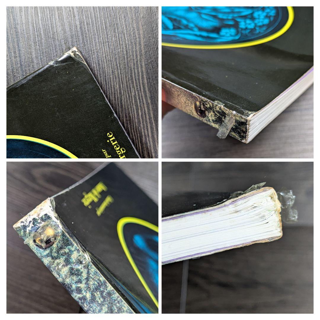 洋書　Valentine Hugo 1887-1968