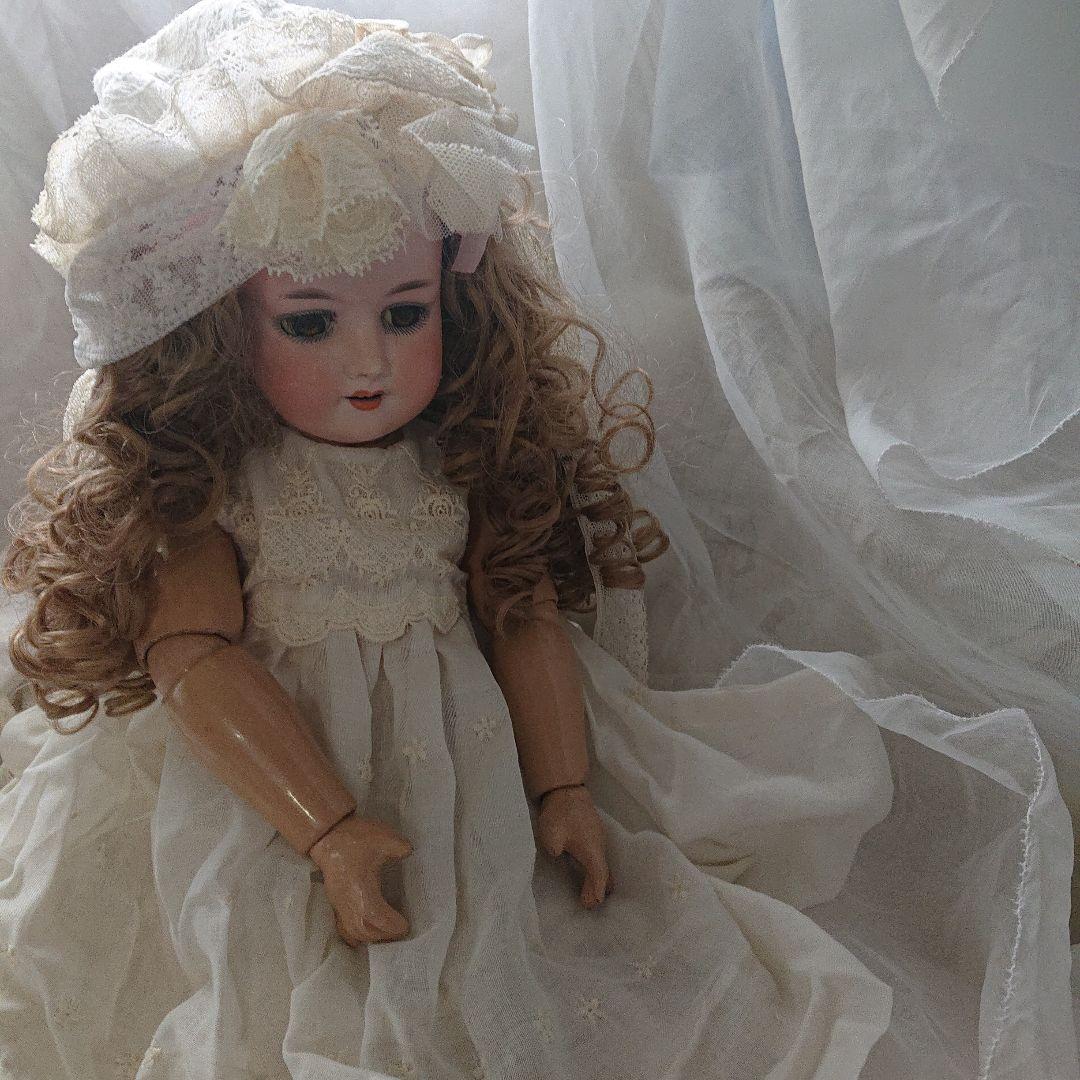 ルイス　アンバーグ　51㌢