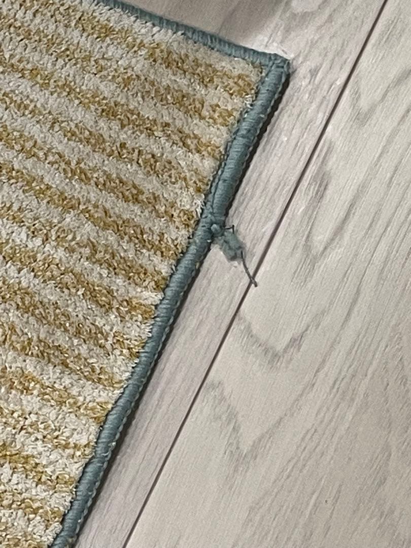 unico ラグ 約140cm x 200cm