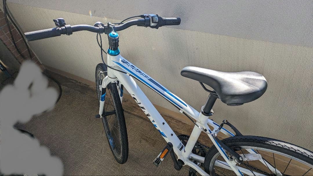 [personaltest]GIANT ジュニアスポーツバイク