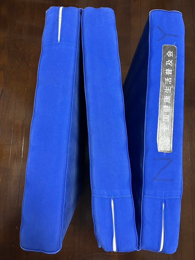 ヘルスウェーブゴールド 施術用 NSP（195×75×11）