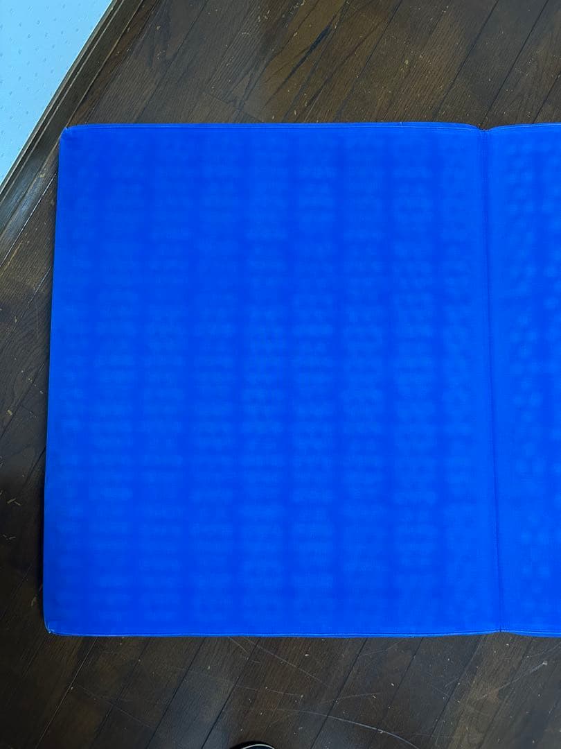 ヘルスウェーブゴールド 施術用 NSP（195×75×11）