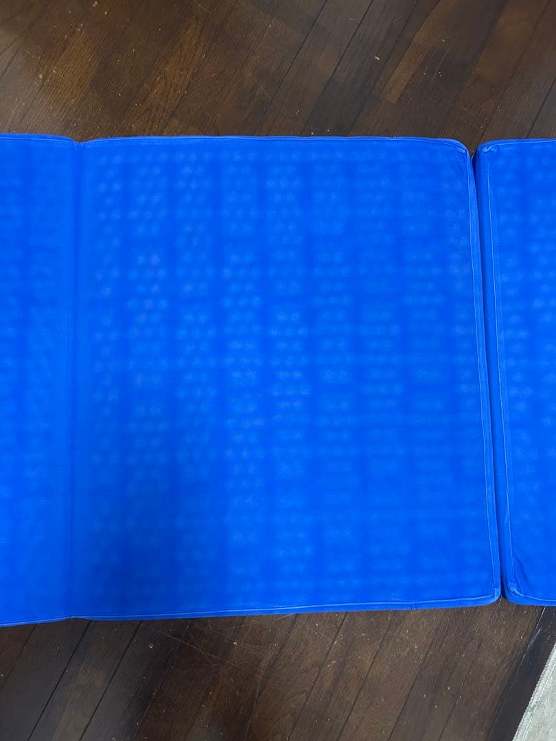 ヘルスウェーブゴールド 施術用 NSP（195×75×11）