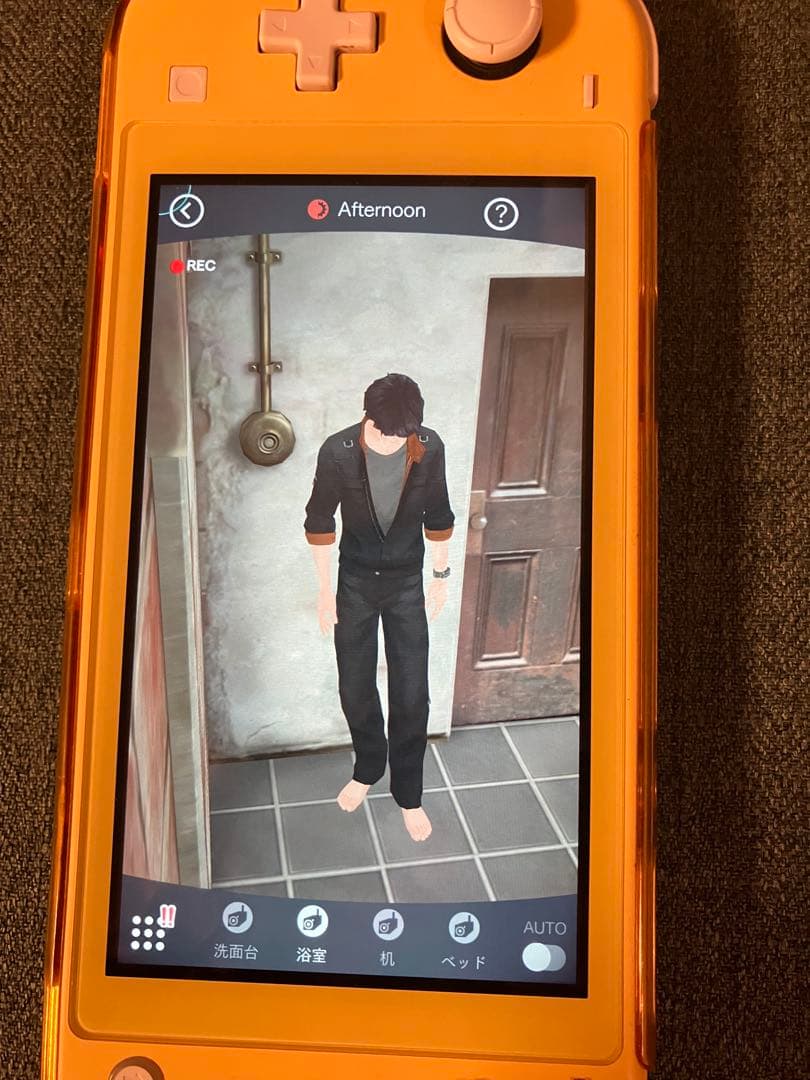 囚われのパルマ Switch 2セット売り