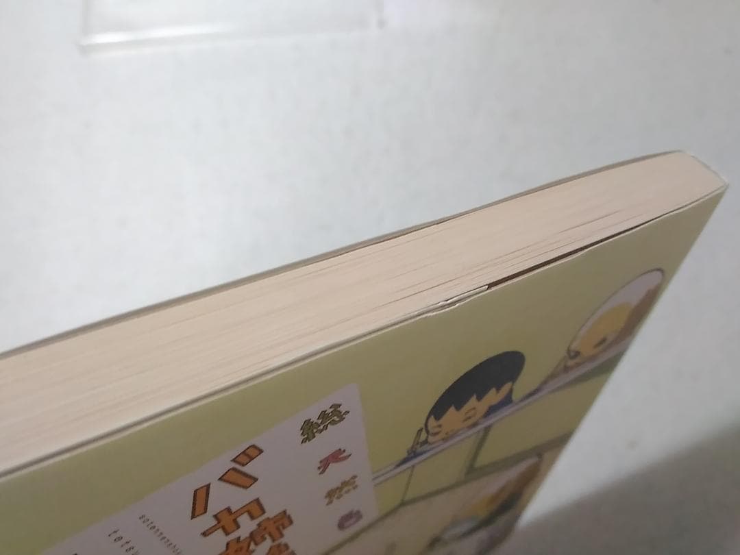 総天然色 バカ姉弟 3巻のみ KCデラックス 安達哲 フルカラー ■3500