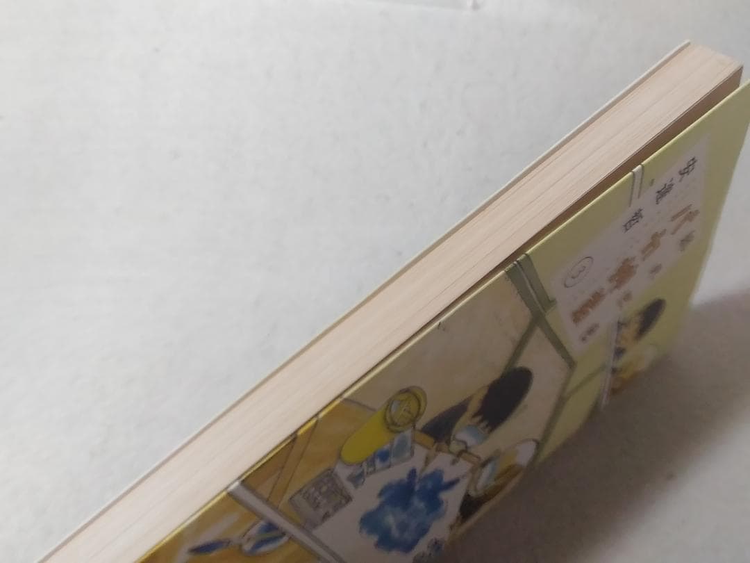 総天然色 バカ姉弟 3巻のみ KCデラックス 安達哲 フルカラー ■3500