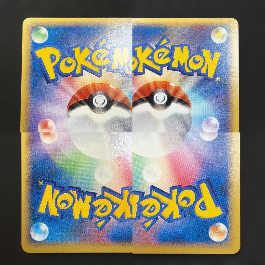 【希少ポケパーク限定】ポケモンカードゲーム フォレストシート プレミアムファイル