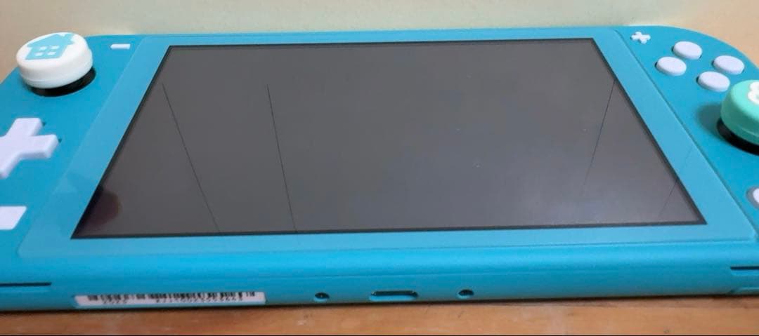 Nintendo Switch あつまれ どうぶつの森