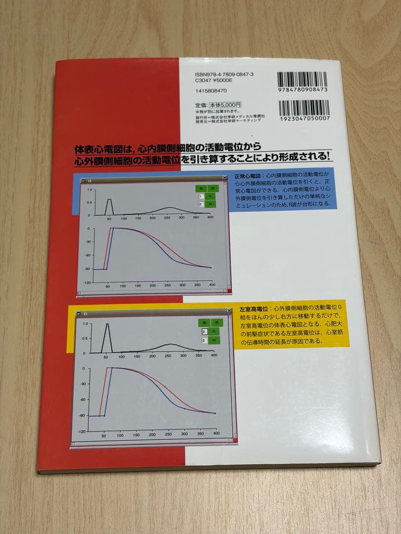 成り立ちから理解する心電図波形