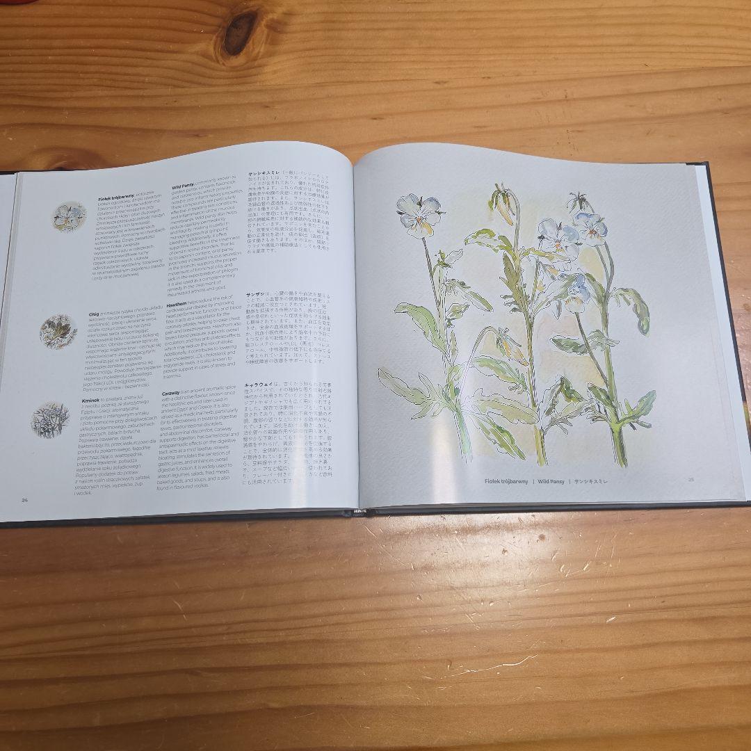 ポーランド館　大阪関西万博 ビジュアルブック