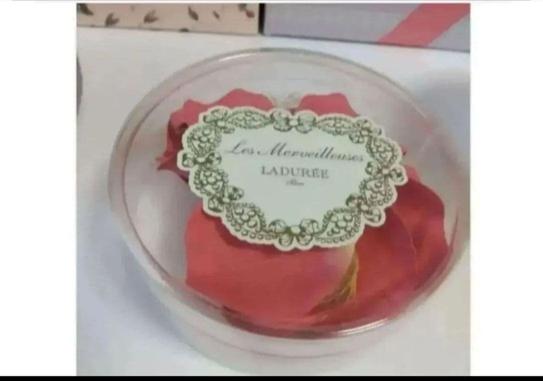 レ・メルヴェイユーズ ラデュレ　チーク ・ポット